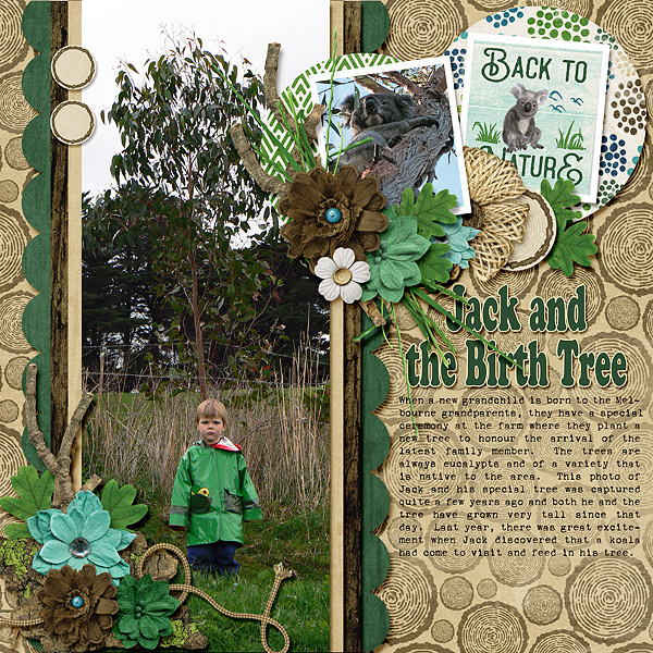 Jack and the Birth Tree