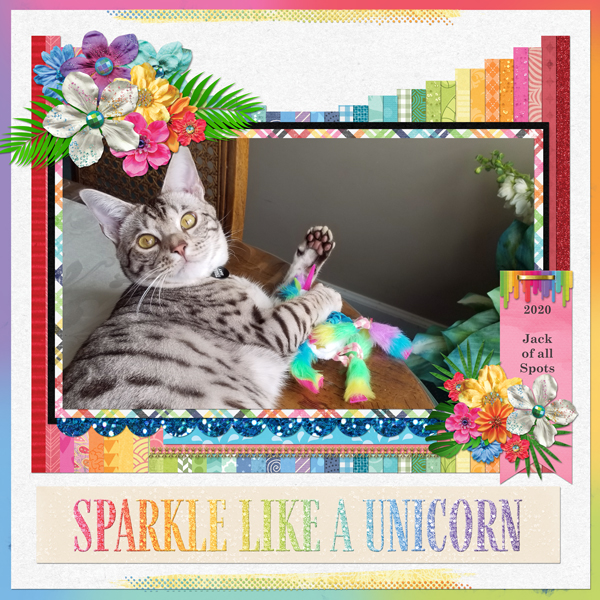 Jack and the Unicorn Toy