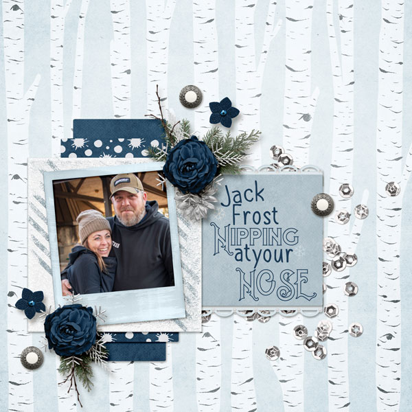 Jack Frost Nipping at Your Nose