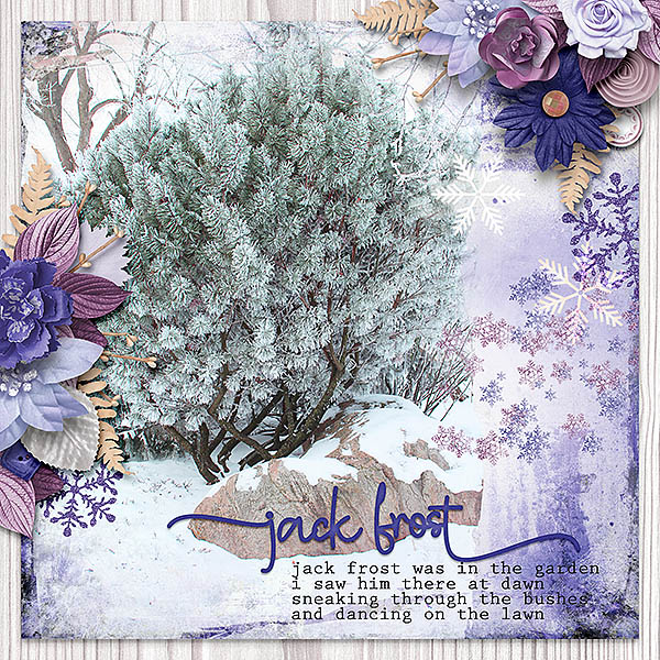 Jack Frost