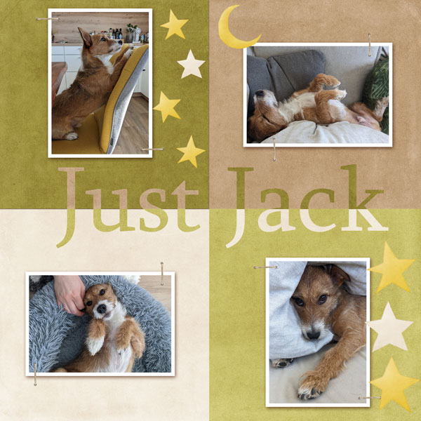 Jack Jack