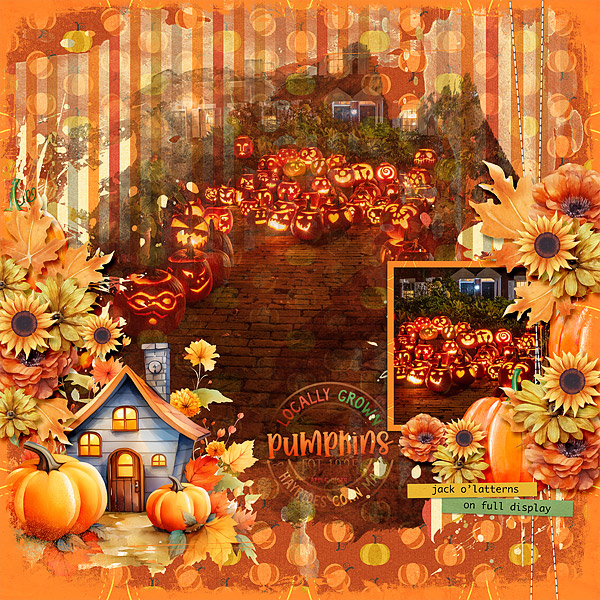 Jack O'Lanterns on Display