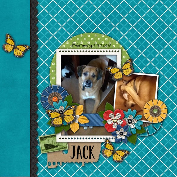 Jack