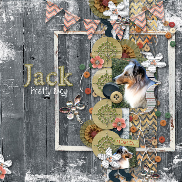 Jack