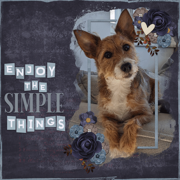 Jack's Simple Joys