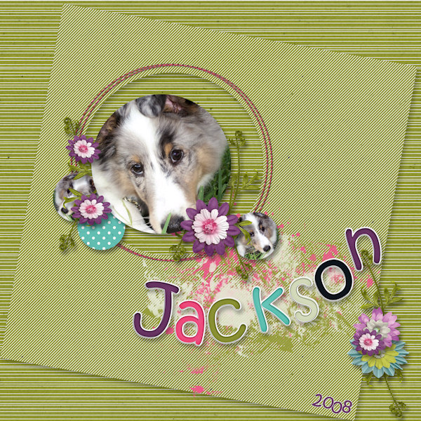 Jackson - 2008