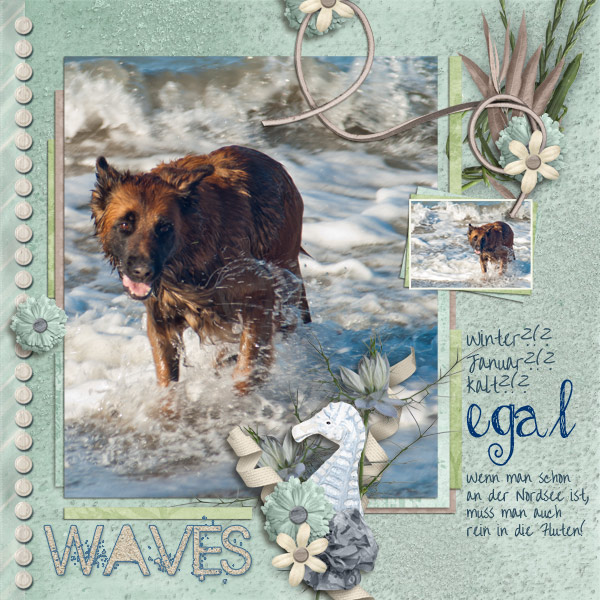 Jacky + the waves