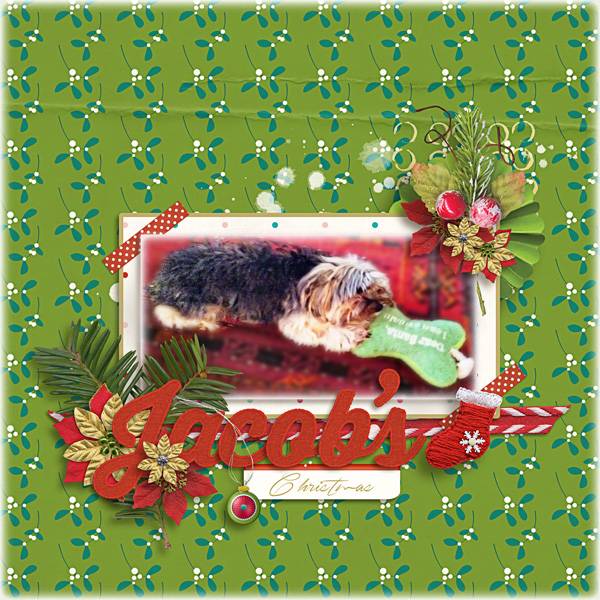 Jacob's Christmas