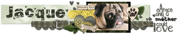 Jacque's Feb 2013 siggy
