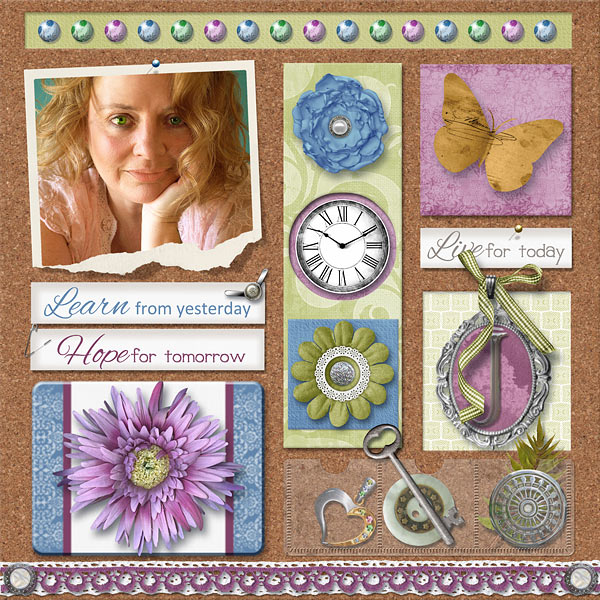jacque's inspiration challenge feb 2013