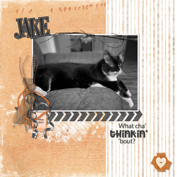 Jake