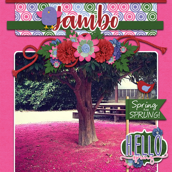Jambo
