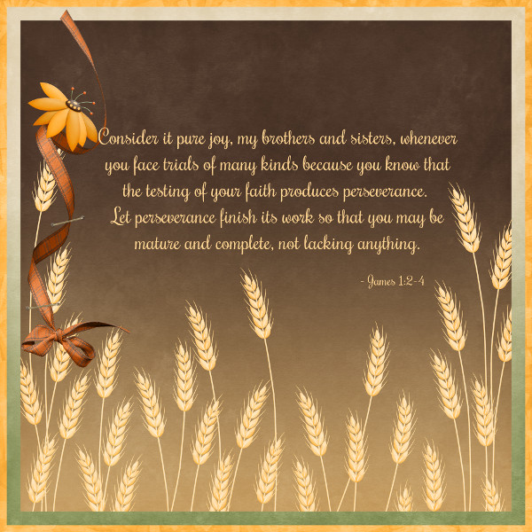 James 1:2-4
