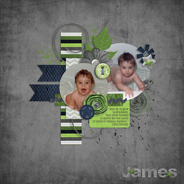 James 1980