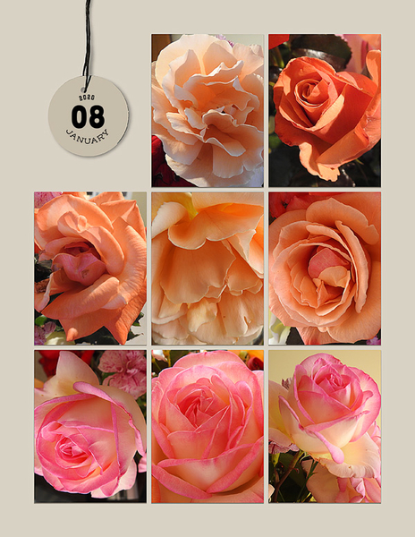 JAN 2020 - RIGHT HAND SIDE PAGE