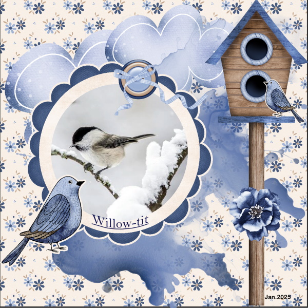 Jan.2025-Jumpstart Mini-Willow-tit