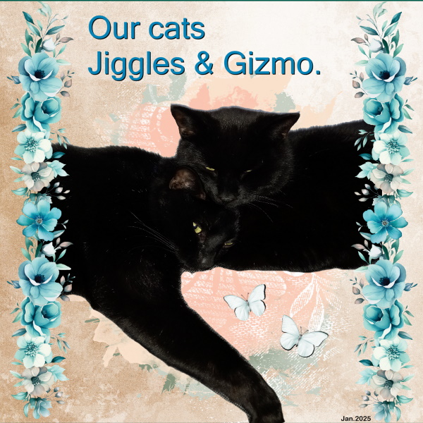 Jan.2025 -Our cats Jiggles+Gizmo.