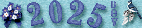 Jan 2025 Siggy