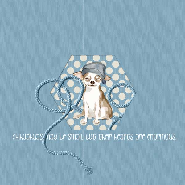 Jan-9-2026---Cozy-Chihuahua.jpg