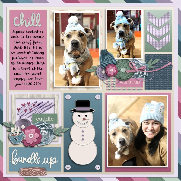 Jan Designer Spotlight Challenge
