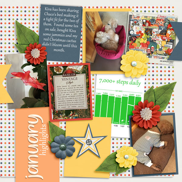 Jan highlights-Temp chall