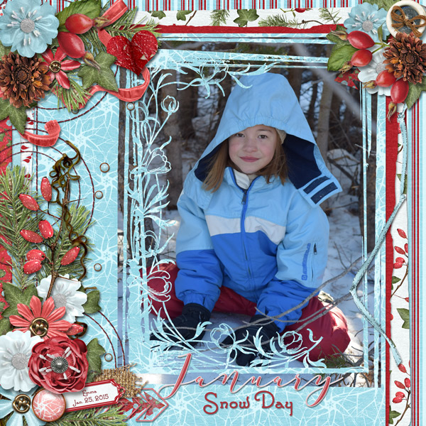 Jan. Snowday