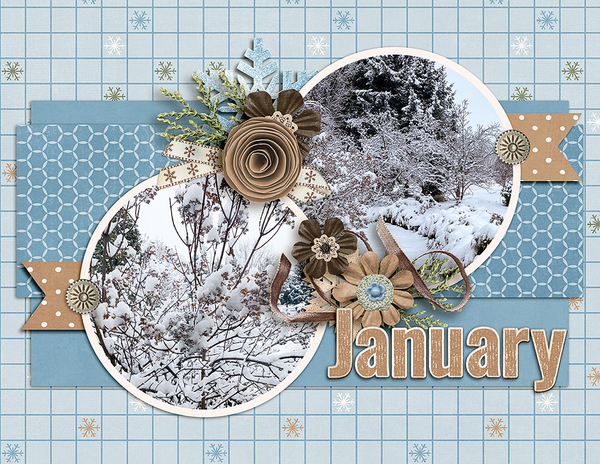 Jan-top