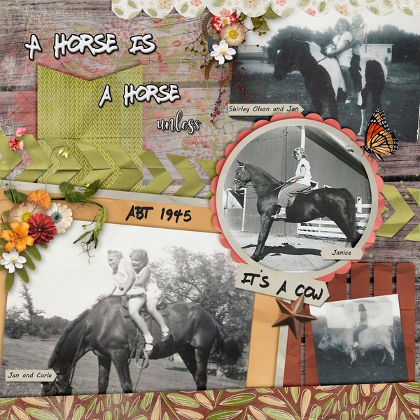 Jan with horses