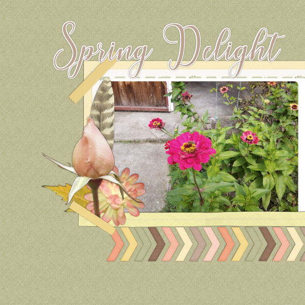 jan19-desspotlight-small