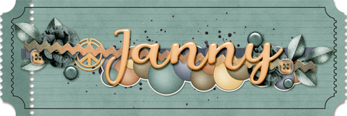 Jan's DSD Challenge Siggy
