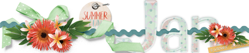 Jan's June 2017 Siggie