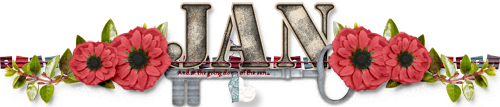 Jan's November 2016 Siggie