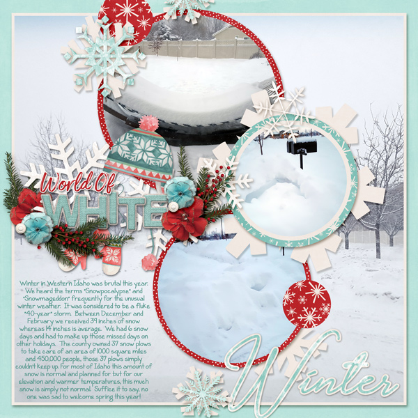 January-17-SnowmageddonWEB