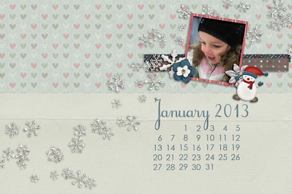 January 2013 DT