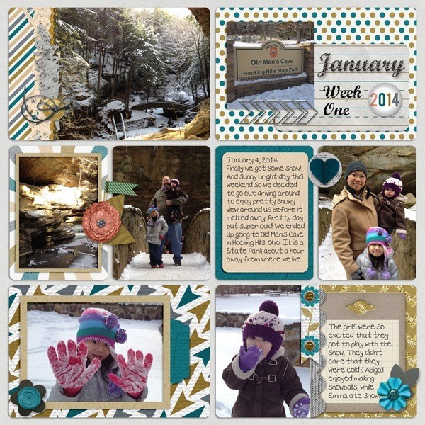 January 2014 Week 1
