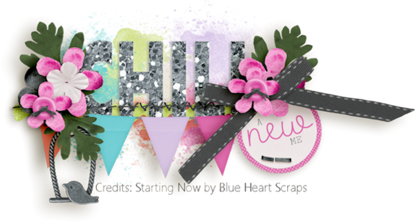 January 2017 Siggie