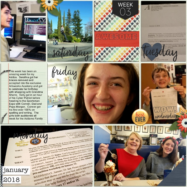 January 2018 Week 3