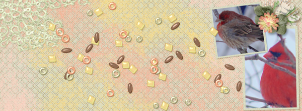 January 2019 Header
