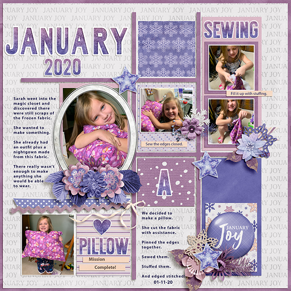 January 2020- pillow