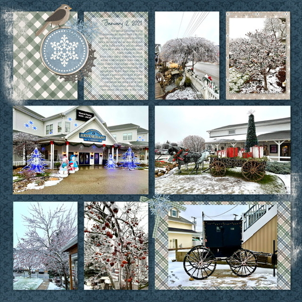 January 2021 Life Chronicled Challenge: Shipshewana #2