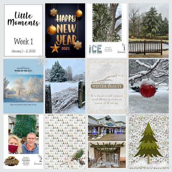 January 2021 Project 52 Challenge: Little Moments 2021 Week 1