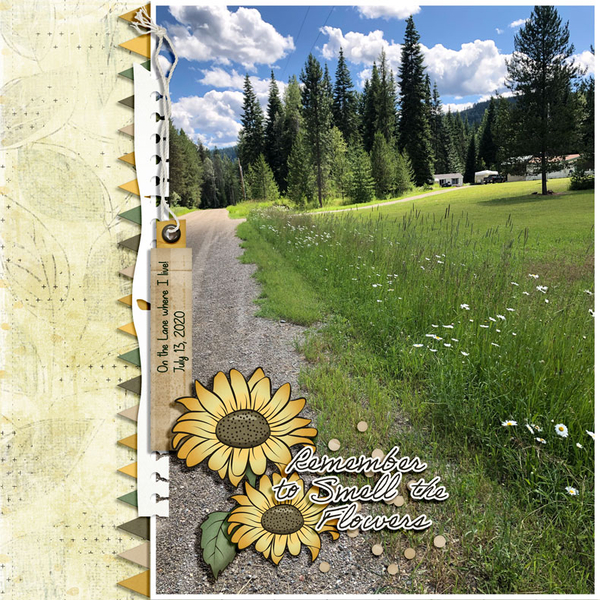 JANUARY 2022 COLOR CHALLENGE - ON THE LANE WHERE I LIVE
