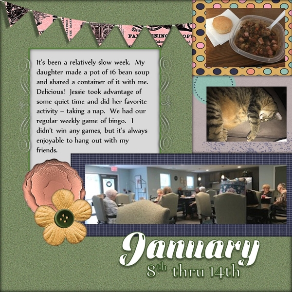 January 2023 Project 365 Challenge - Week 2