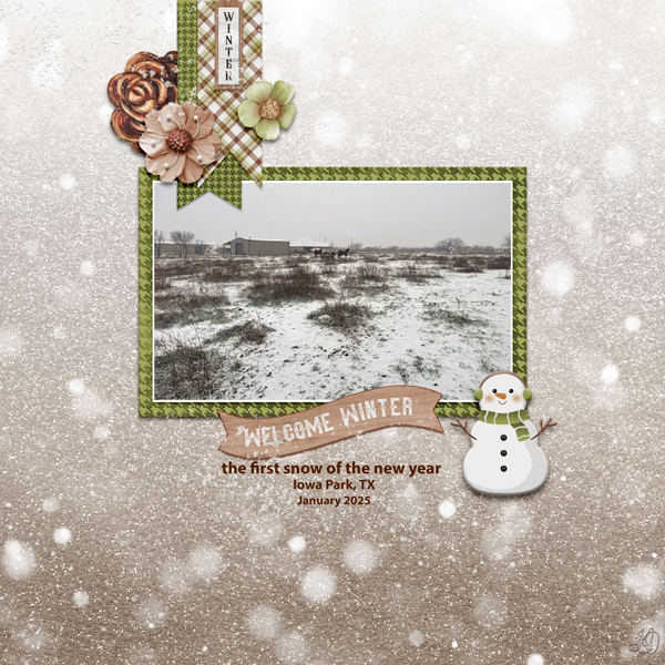 January 2025 first snow