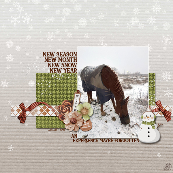 January 2025 horse's new snow