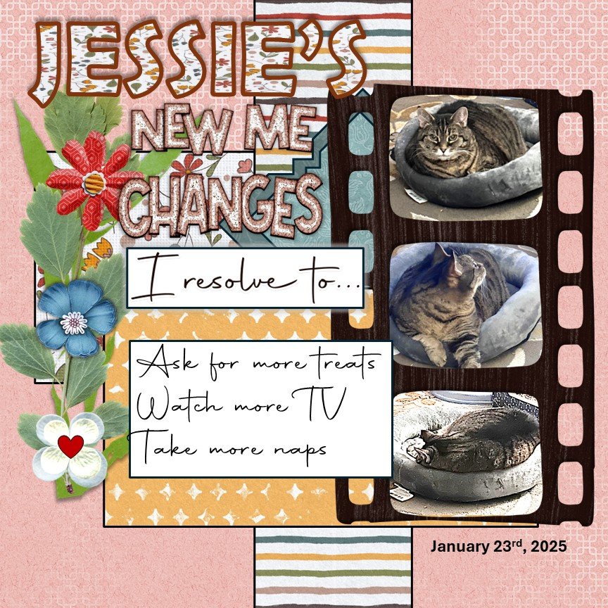 January 2025 Mini Kit Challenge.jpg