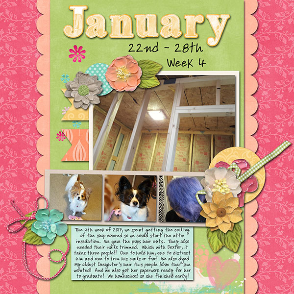 January 22nd - 28th -- Week 4
