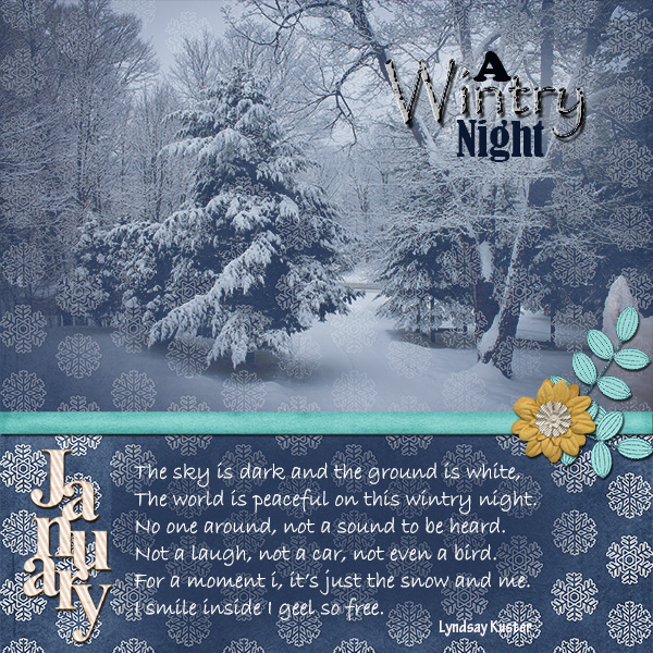 January - A wintry Night