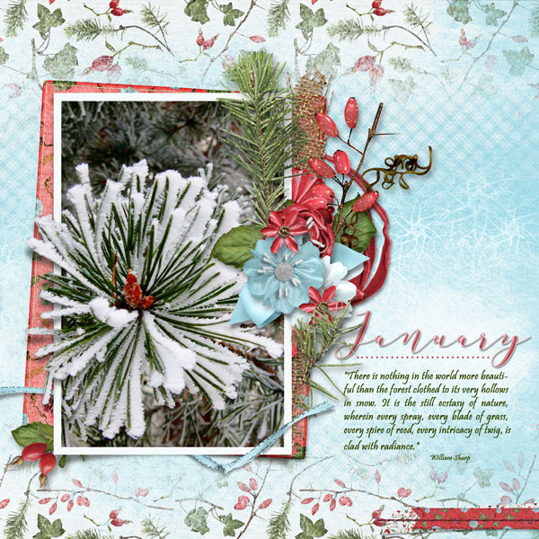 January Beauty