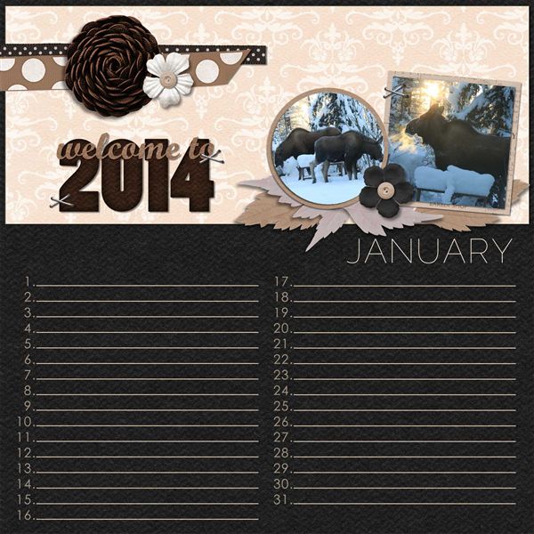 January Calendar
